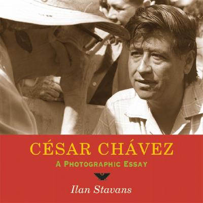 Cesar chavez essays