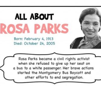 all about Rosa Parks graphic