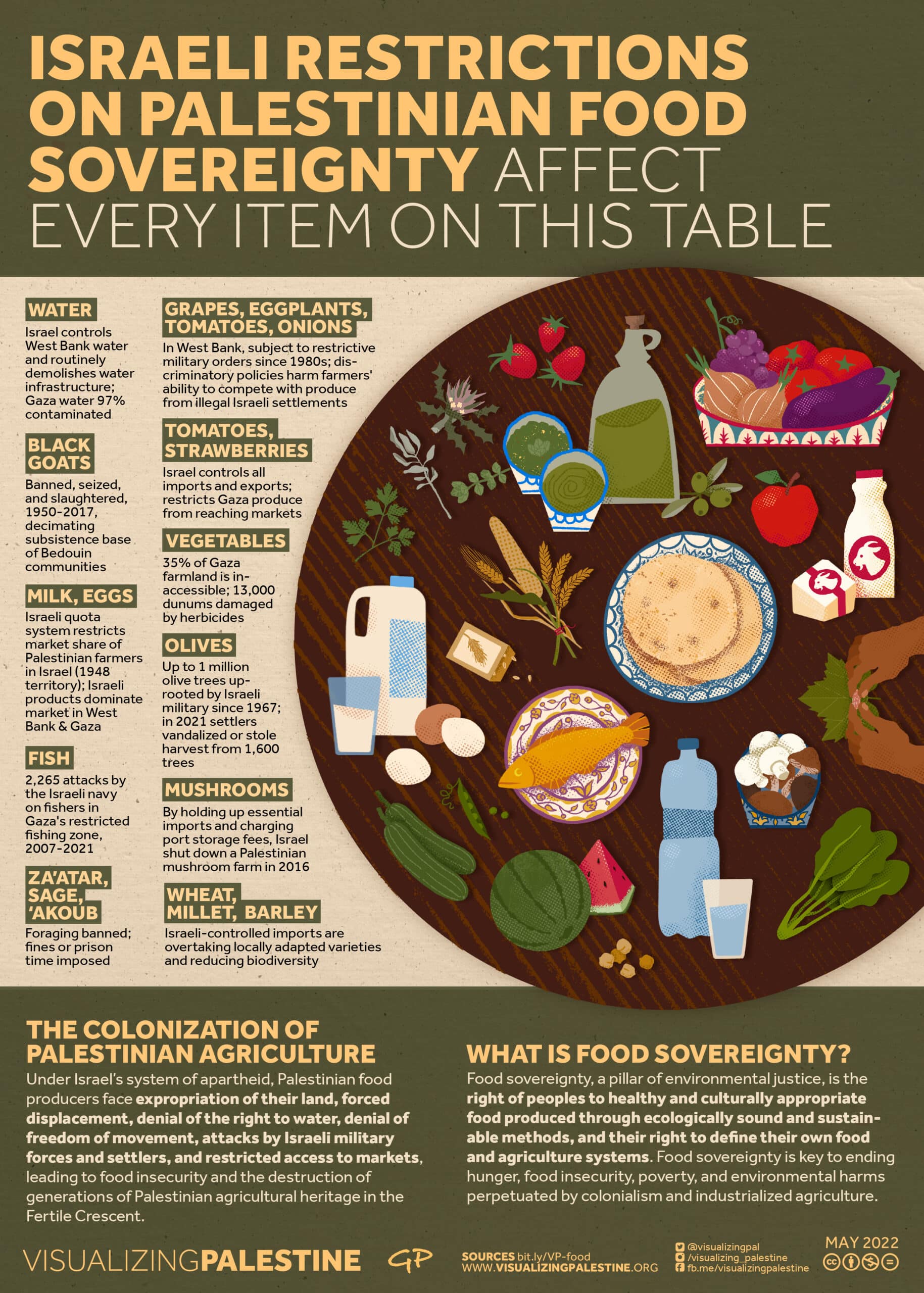 Food-Sovereignty-VP-infographic-scaled image