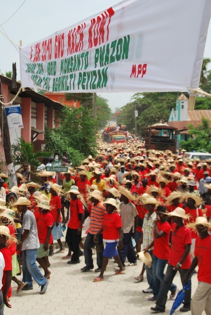 Haitian Farmers | Zinn Education Project