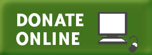 button_donateonline2