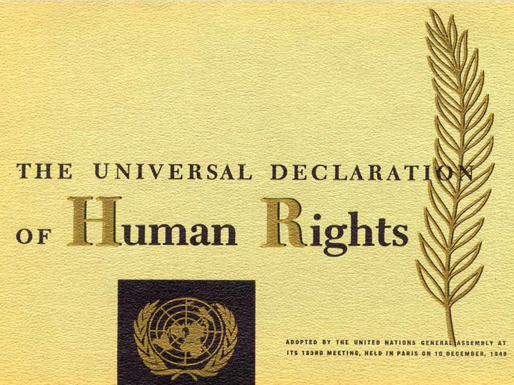 Universal Declaration of Human Rights Poster Zinn Education Project