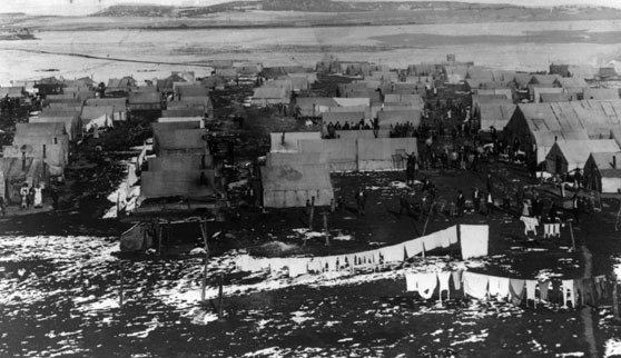 The Ludlow Massacre Of 1914