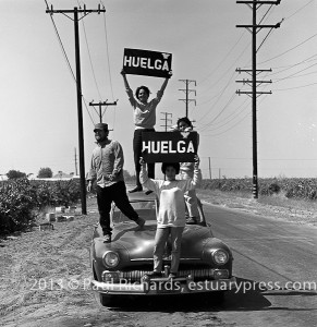 Farm Workers on Strike, 1959-1966