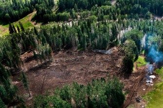 SFPeaksAerials-JOHN-RUNNING