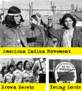 Other groups targeted by COINTELPRO | Zinn Education Project: Teaching People's History