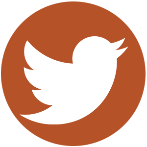 ZEP Twitter icon | Zinn Education Project - Zinn Education Project