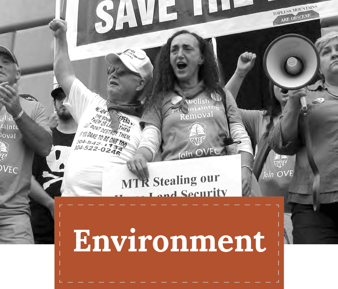 ZEP Theme Icon - Environment