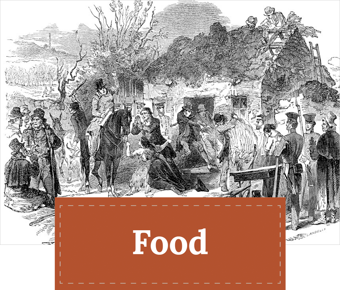 ZEP Theme Icon - Food