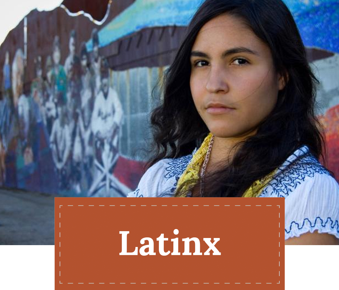 ZEP Theme Icon - Latinx