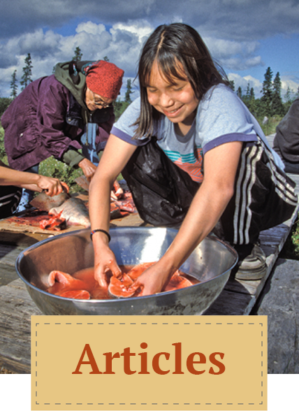 ZEP Climate Icon - Articles