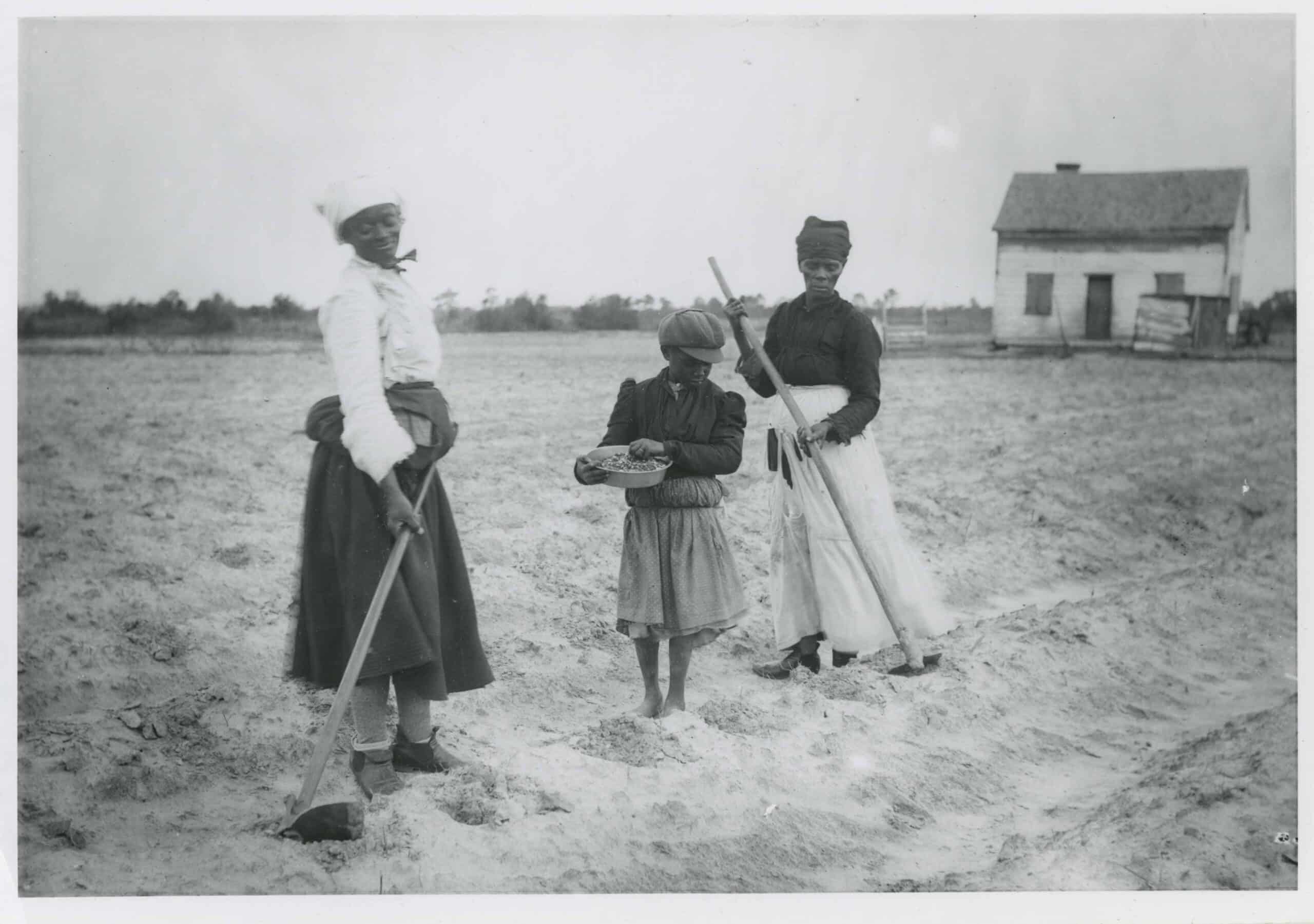Penn Center farming